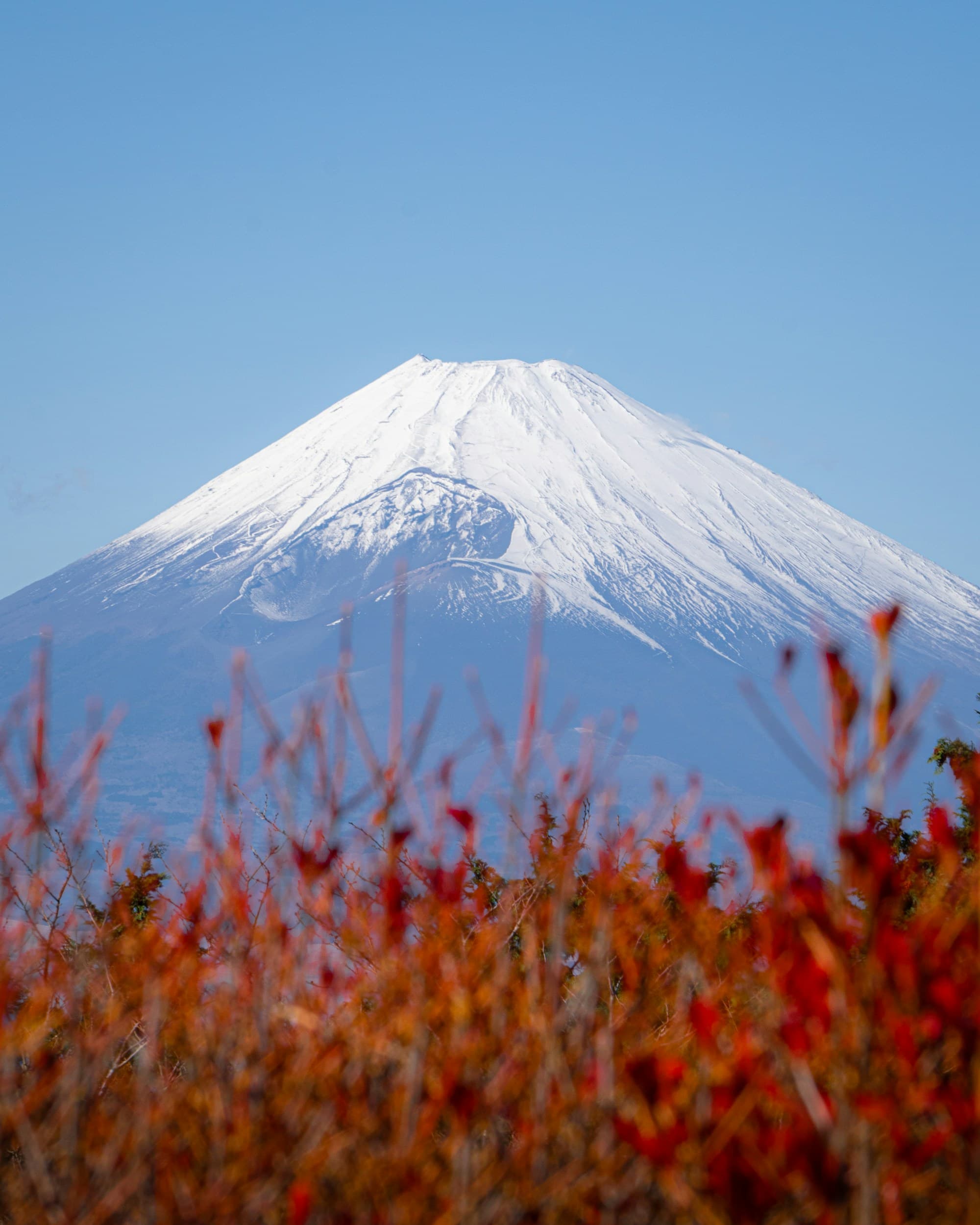 Silver Week Japan 2026: Sep 19–23 Dates, Crowds & Should You Travel Then?